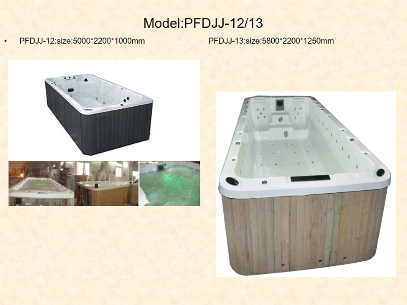 Model:PFDJJ-12/13 PFDJJ-12:size:5000*2200*1000mm            